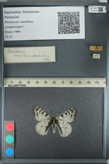 Media type: image;   Entomology 174540